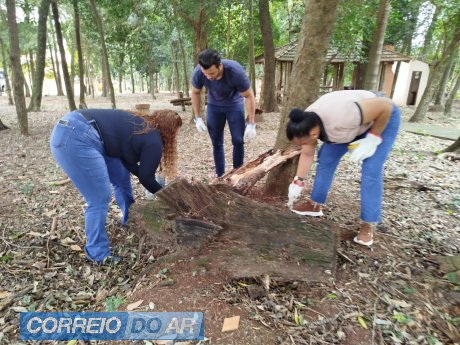 Profissionais de cinco secretarias estiveram envolvidos na ação